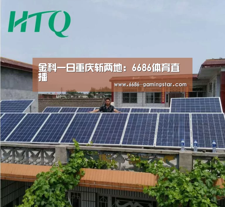 6686登录入口