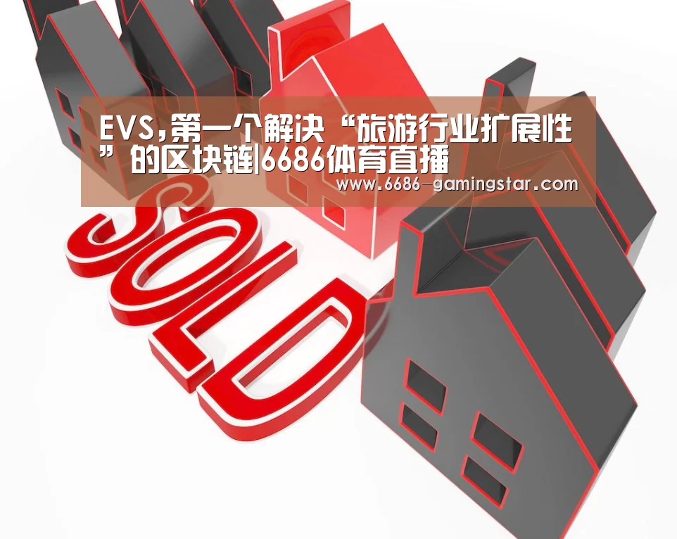 EVS,第一个解决“旅游行业扩展性”的区块链|6686体育直播(图2) 6686体育直播