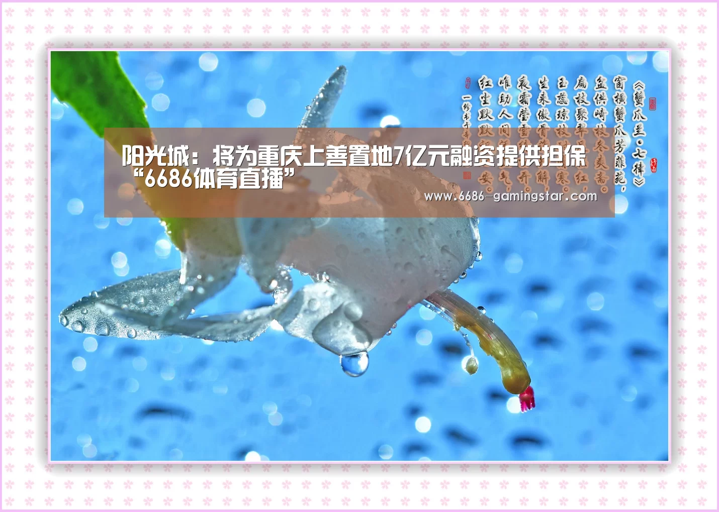 6686电竞平台